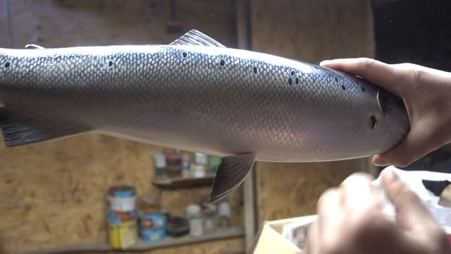 Красивые полезные сувениры подарки.. смотреть онлайн