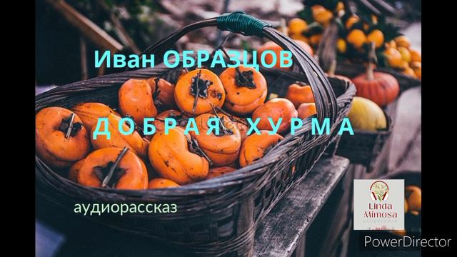 Аудиорассказ "ДОБРАЯ ХУРМА"⚪И.Образцов смотреть онлайн