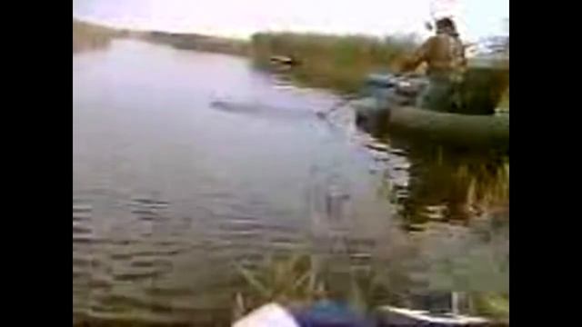 Ловля САЗАНА (снято скрытой камерой)
