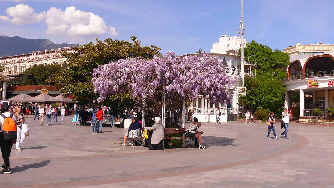 Ялта. Май 2021 года. смотреть онлайн
