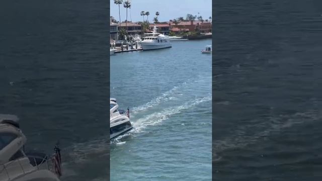 Огромная Чёрная Яхта в Калифорнии! Посмотри. Америка. жизнь в Калифорнии. Оранж Каунти.#shorts.