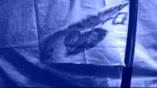 Gельсомино - Той что не боится смотреть онлайн