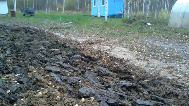 тяжёлая вспашка целины по принципу тяни толкай ,так тоже бывает!!!! смотреть онлайн