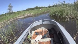 Мотокаяки "Водомерка"