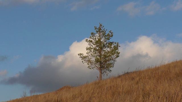 Последний день осени смотреть онлайн