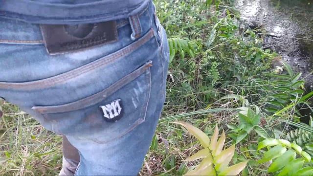 PELEPASAN 3 ULAR BUNTET PYTHON PENDEK PENGHUNI PULAU KALIMANTAN DAN SUMATRA смотреть онлайн