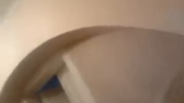 video-2017-01-21-16-28-45.mp4 смотреть онлайн