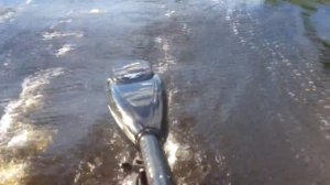 лодочный электромотор 24в