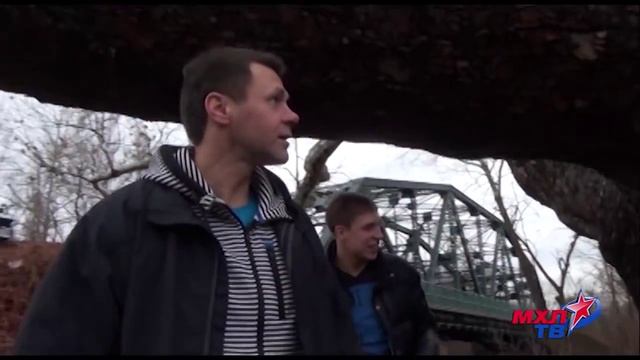 Экскурсия к самому большому дереву штата Коннектикут смотреть онлайн