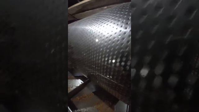 Калибратор кедрового ореха 7 фракций смотреть онлайн