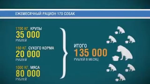 Приморская зоошиза и её 170 собак