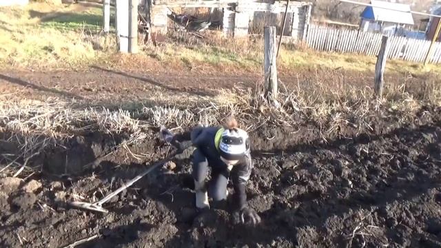 Подарки от жителей деревни продолжаются, коп на огороде и находки. смотреть онлайн