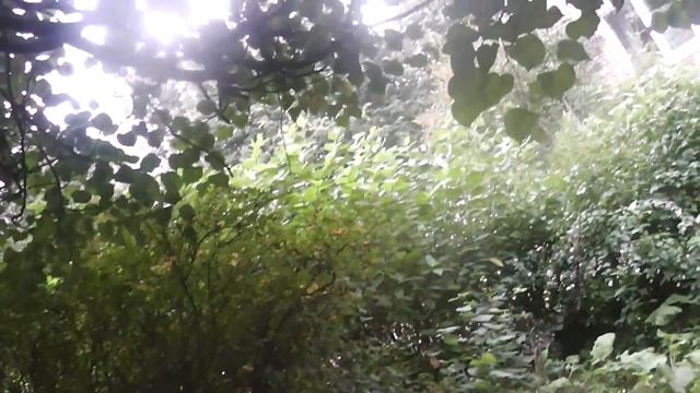 САНБОЙ ВСПОМНИЛ ШИРВИНДТА И БОКУ