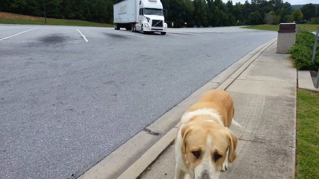 Дальнобой по США. REST AREA смотреть онлайн