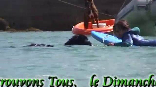 la section terre-neuve des abers vue par T.N.29.mpg смотреть онлайн