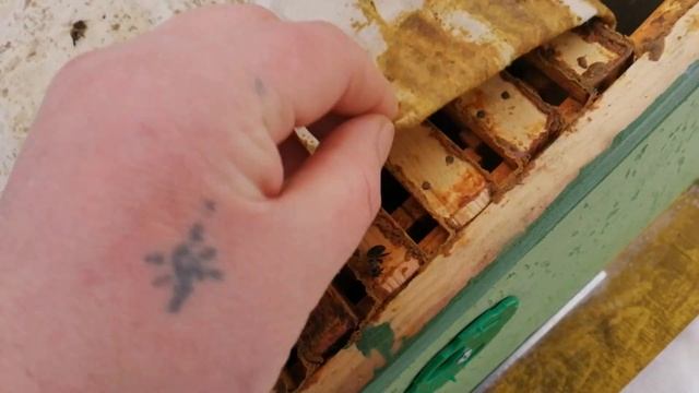 Зимовка пчел январь 2021.  Кормим пчёл.