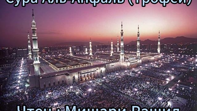 Сура Аль-Анфаль (Трофеи) | Чтец : Мишари Рашид  | Красивое Чтение Корана | #quranrecitation #quran