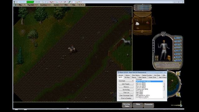 Ultima Online Renaissance Getting Started updated смотреть онлайн