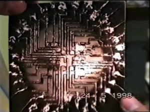 Гринпис "Сталкеры"