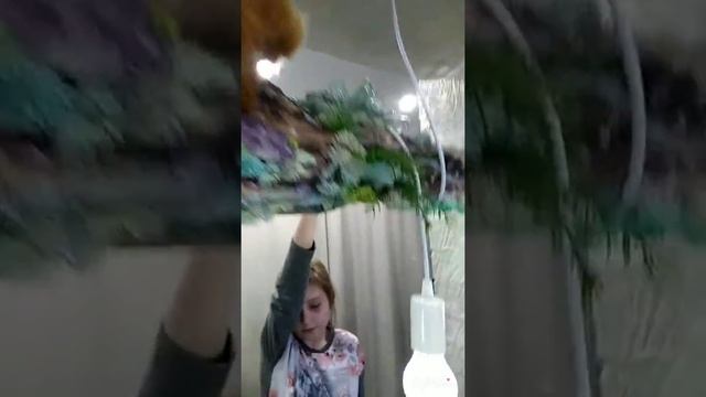 #Дизайнерская#люстракоряга#коряга которая светится без электричества смотреть онлайн