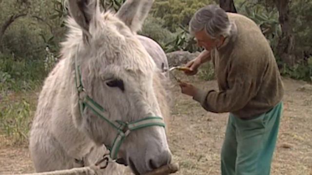 Celebro el SEGUNDO ANIVERSARIO del canal respondiendo VUESTRAS PREGUNTAS смотреть онлайн