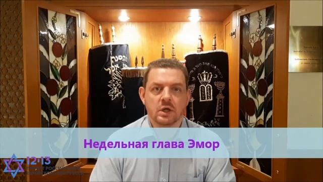 Как узнать свою недельную главу Торы? смотреть онлайн