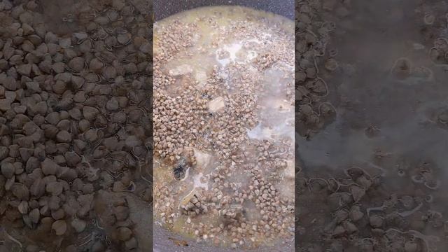 Как приготовить гречку чтобы было вкусно Прекрасная идея для лёгкого обеда или ужина смотреть онлайн