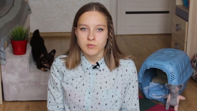 Первая прогулка со щенком. Как сделать первую прогулку идеальной. смотреть онлайн