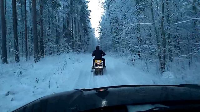 Динго т 150 смотреть онлайн