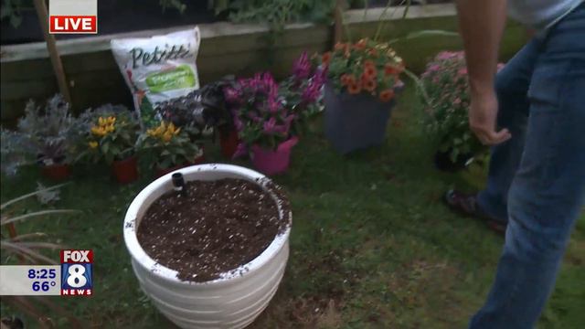 Check out this Fall Container Garden AJ created in less than 3 minutes! смотреть онлайн