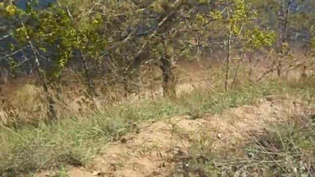 На Волге у Тольятти смотреть онлайн