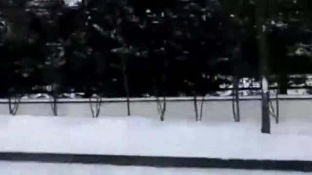 Вызов Деда Мороза и Снегурочки на тройке лошадей на дом в Москве смотреть онлайн