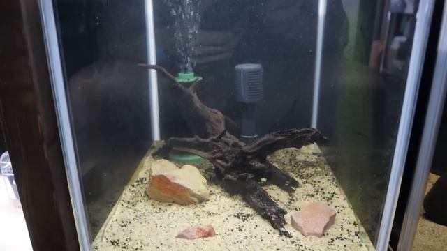 Setting Up the CHECKERBOARD CICHLID Biotope Tank! смотреть онлайн