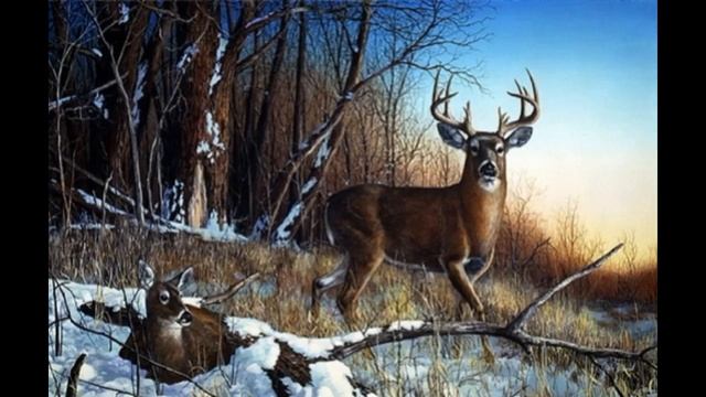 Густой зелёный ельник Иван Бунин читает Павел Беседин смотреть онлайн