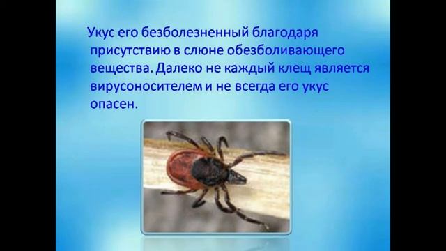 Секреты Творческой Энергии