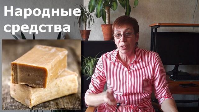 Клещ на комнатных Комнатных растениях. Как избавиться от клеща на цветах смотреть онлайн