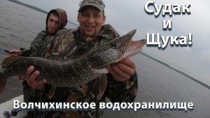 Судак и Щука! Волчихинское водохранилище. 18.06.2022