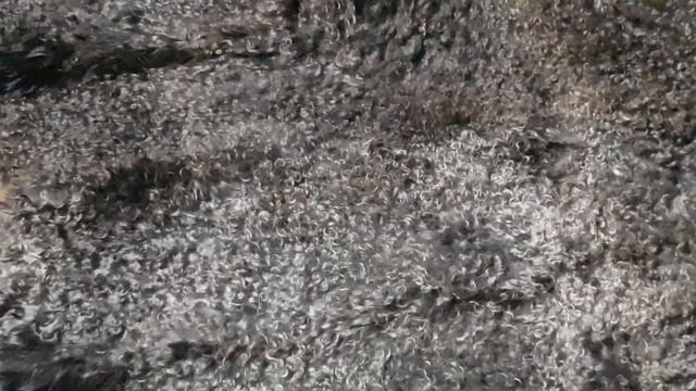 Ковер из шести серых с серебряным отливом пуховых козьих шкур смотреть онлайн