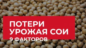 Повышаем урожайность сои. Что вносить летом | Агроном | Сергий Ризанов
