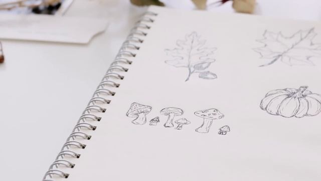 how to draw autumn things (+ free printable) смотреть онлайн