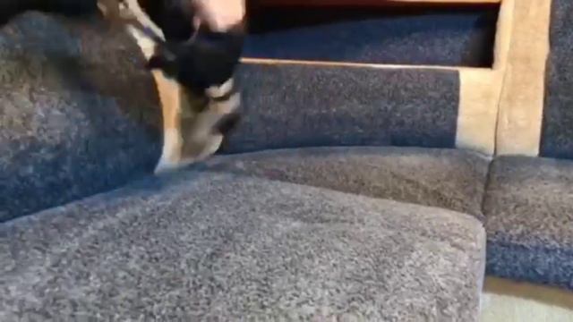 Химчистка углового дивана смотреть онлайн