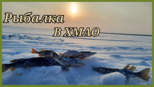 Рыбалка на ХАПУГИ в ХМАО. Хмао-югра..mp4