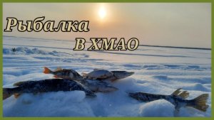 Рыбалка на ХАПУГИ в ХМАО. Хмао-югра..mp4