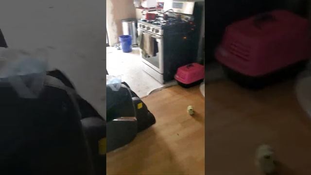 30ftblindshotsog смотреть онлайн