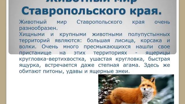 Природа родного края смотреть онлайн