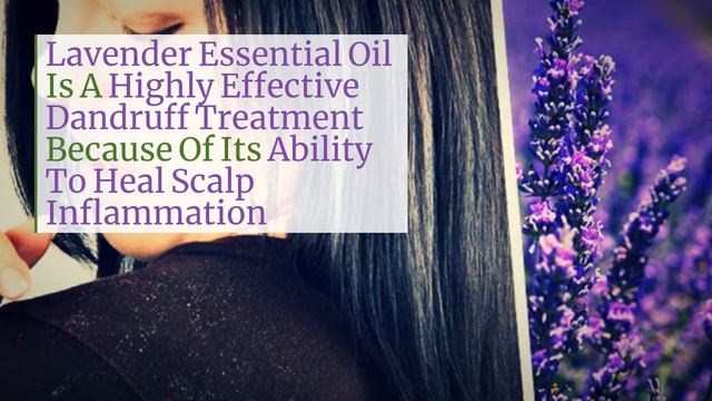 Lavender Essential Oil For Hair - Live Love Zen смотреть онлайн