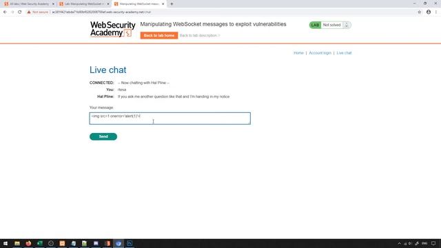 Web Application Hacking with Burp Suite - Web Socket Exploits смотреть онлайн
