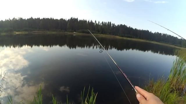 Интересные моменты спиннингового сезона 2016! (Видео для зрителей канала) смотреть онлайн