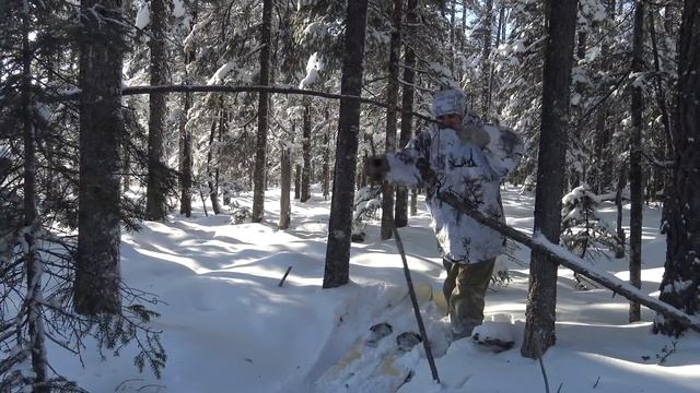 Соболя и рябчики, таежная добыча, таежный промысел, тайга Часть 2 смотреть онлайн