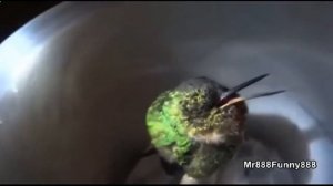 Окружающий мир: Зачем мы спим ночью?